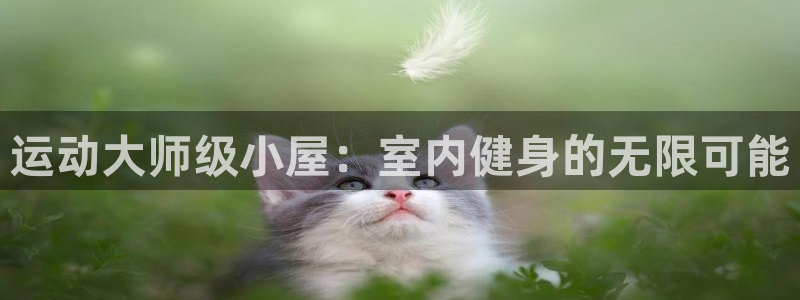 fb体育平台注册流程图:运动大师级小屋:室内健身的无限可能